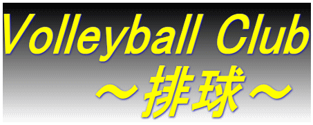 Volleyball Club    　～排球～